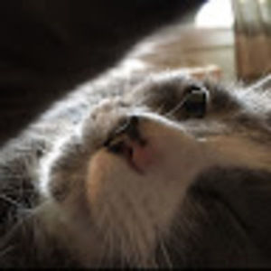 Meet your Posher, Ben